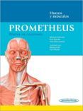 prometheus poster de anatomia
