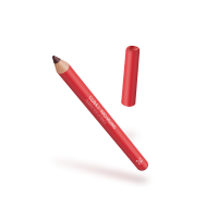 club k by kiko milano pigment pop lip pencil 26
