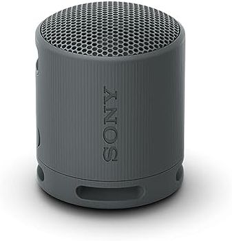 Sony Altavoz Bluetooth SRS-XB100, Ligero, Compacto, Altavoz Resistente al Agua y al Polvo IP67, hasta 16 h de batería, Correa Adaptable, Negro