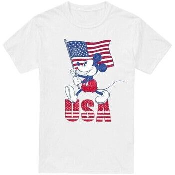 Disney Camiseta USA para hombre