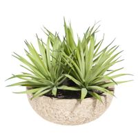 3 yucas artificiales en maceta