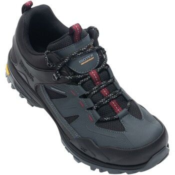 Regatta Zapatillas de senderismo Regen para hombre