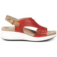 fluchos sandalias f1481 rojo para mujer