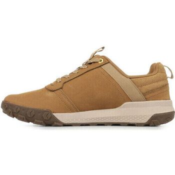 Caterpillar Deportivas Moda Hex Ready Low para hombre