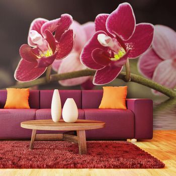 Fotomural - Orquídeas Delicadas En El Agua