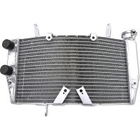 refrigerador motor ducati 1098 agua