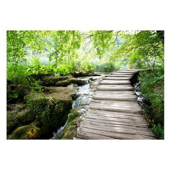 Papel Pintado 3d - Camino Forestal (250x175 Cm)