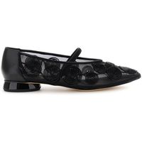 cafe noir bailarinas c1eg9012 para mujer