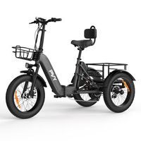 triciclo electrico de carga pvy f20 48v21ah 80km 20x40 color gris