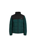 chaqueta jack and jones jjben square magical forest hombre