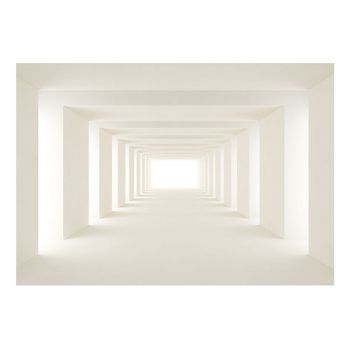 Papel Pintado 3d - Into The Light (350x245 Cm)