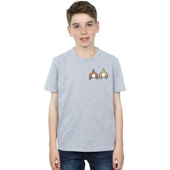 Disney Tops y Camisetas Chip N Dale para niño