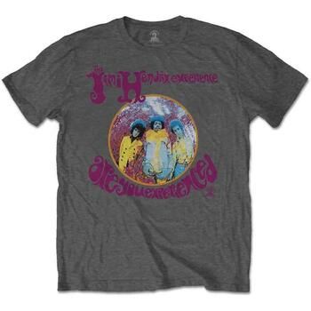 Jimi Hendrix Camiseta Are You Experienced para hombre