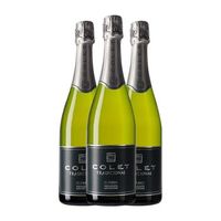 colet tradicional extra brut penedes 75 cl 115 vol pack de 3 unidades