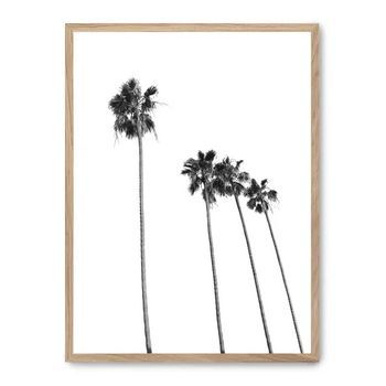 Cuadro Palm Tree Line Up Ii