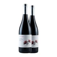 valdemonjas vino tinto entre palabras ribera 75 cl 14 vol pack de 2 unidades