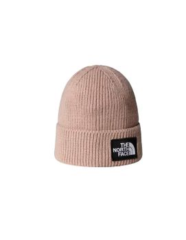 Gorro de Montaña The north Face Tnf Logo Box Cuffed Mushroom Gris Hombre