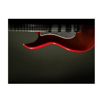 Papel Pintado 3d - Guitarra Eléctrica (250x193 Cm)