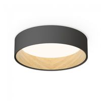 plafon led duo