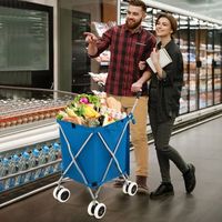 carro de compras plegable con ruedas de tela oxford extraible e impermeable azul