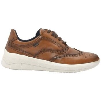 Baerchi Náuticos Zapato Blucher Hombre 1401S para hombre