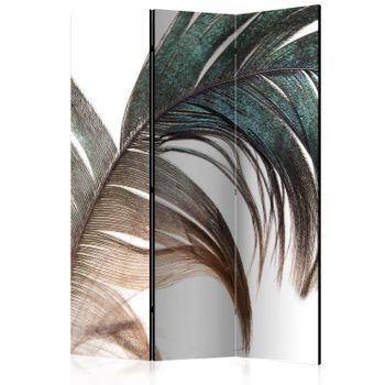 Biombo - Beautiful Feather (135x172 Cm)