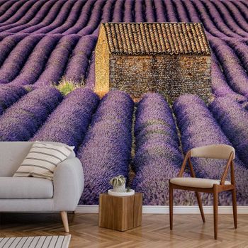 Papel pintado la cabaña 364x270cm