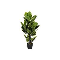 planta pe 40x40x90 hevea verde