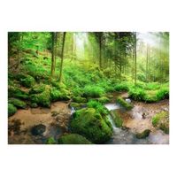 papel pintado 3d - humid forest 250x175 cm