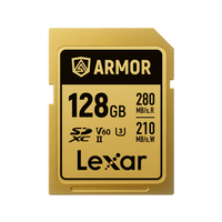 lexar 128gb professional armorlexar 128gb professional armor