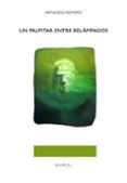 un palpitar entre relampagos
