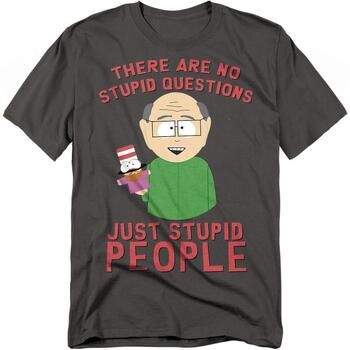 South Park Camiseta No Stupid Questions para hombre
