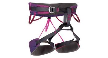 Arnes exclusivo janja violeta camp energy edition