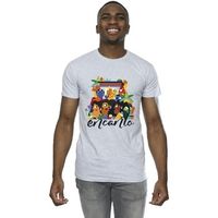disney camiseta encanto para hombre