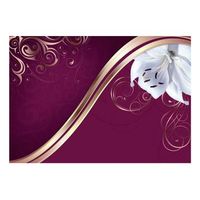papel pintado 3d - paraguas floral 300x210 cm