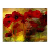papel pintado 3d - amapolas en tono calido 300x231 cm