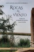 Rocas al viento