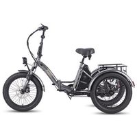 bicicleta electrica fafrees f20 mate 20rrgris