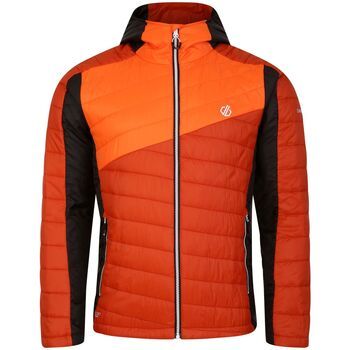 Dare 2b Abrigo de plumas Touring para hombre