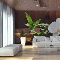 fotomural - templo zen