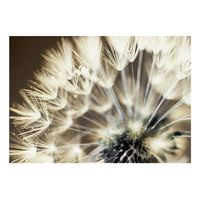 papel pintado 3d - beautiful summer morning 200x140 cm