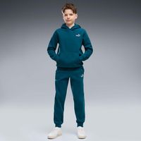 puma polar ess 2 color small no 1 logo hoodie fl b para nino