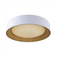plafon de techo led lili 60w