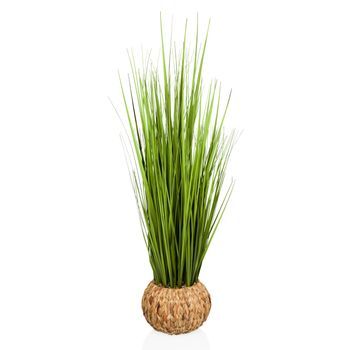Planta Artificial Cortaderia Verde Hjh Office