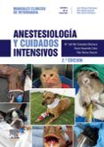 anestesiologia y cuidados intensivos