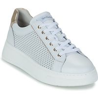 nerogiardini zapatillas e615274d-707 para mujer