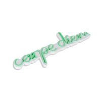 iluminacion led decorativa de plastico carpe diem verde 53x20x2 cm