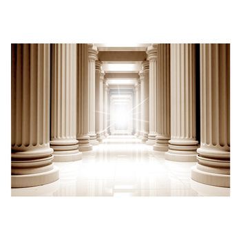 Papel Pintado 3d - In The Ancient Pantheon (250x175 Cm)