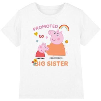 Dessins Animés Tops y Camisetas Proted To Big Sister para niña
