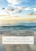 y una tarde cualquiera esparces mis cenizas en el mar